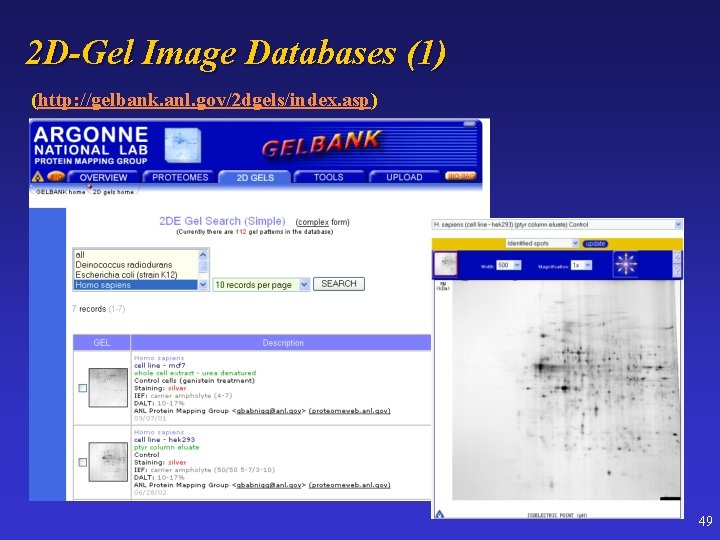 2 D-Gel Image Databases (1) (http: //gelbank. anl. gov/2 dgels/index. asp) 49 