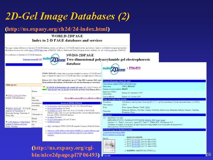 2 D-Gel Image Databases (2) (http: //us. expasy. org/ch 2 d/2 d-index. html) (http: