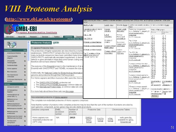 VIII. Proteome Analysis (http: //www. ebi. ac. uk/proteome) 51 