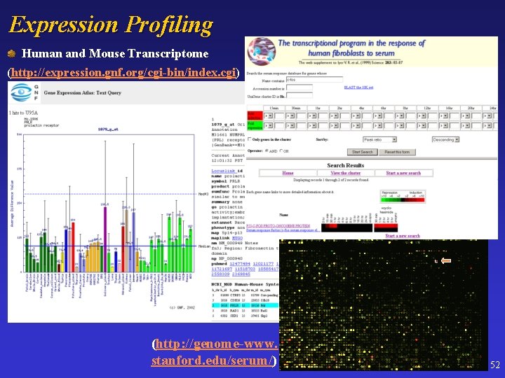 Expression Profiling Human and Mouse Transcriptome (http: //expression. gnf. org/cgi-bin/index. cgi) (http: //genome-www. stanford.