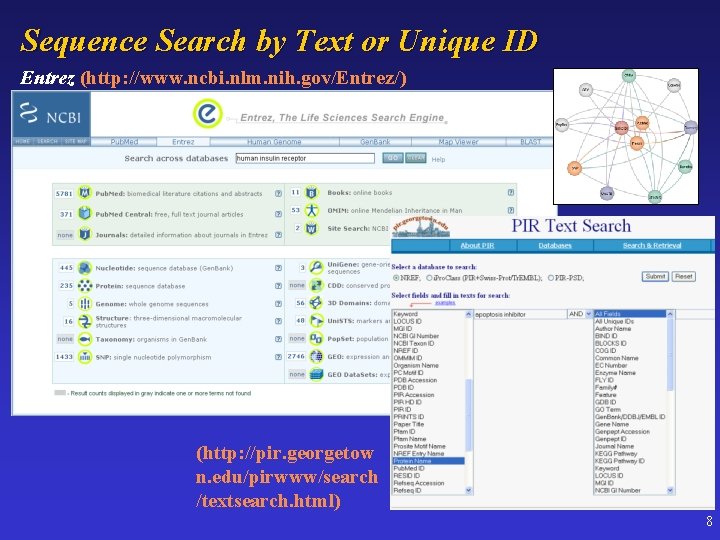 Sequence Search by Text or Unique ID Entrez (http: //www. ncbi. nlm. nih. gov/Entrez/)