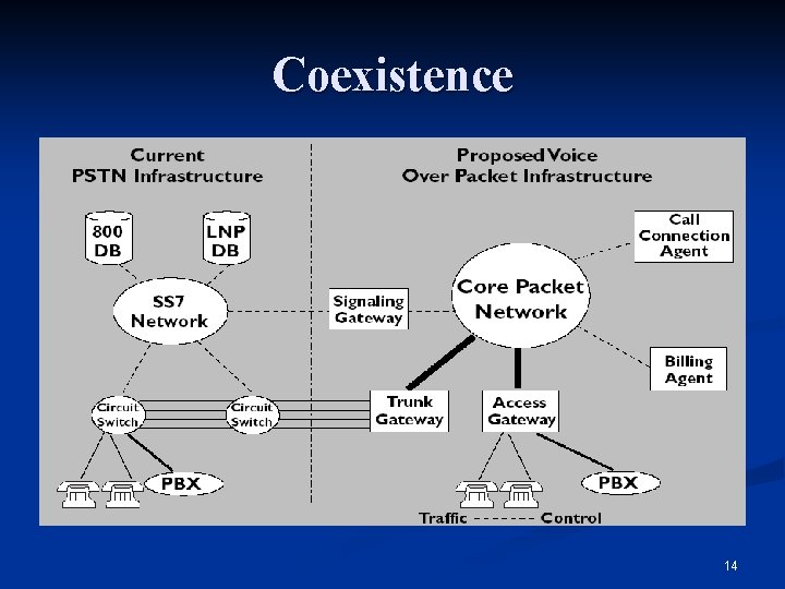 Coexistence 14 