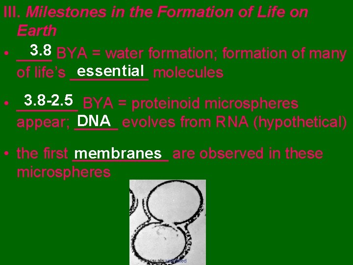 III. Milestones in the Formation of Life on Earth 3. 8 BYA = water