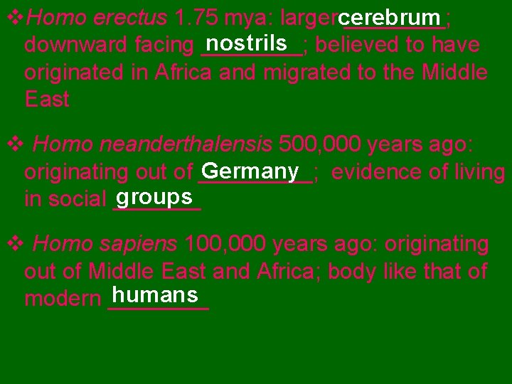 v. Homo erectus 1. 75 mya: largercerebrum ____; nostrils believed to have downward facing