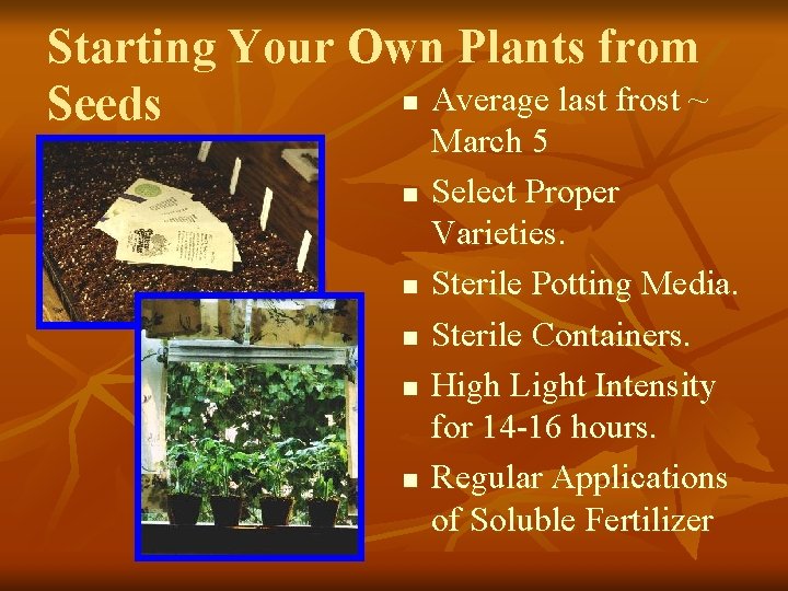 Starting Your Own Plants from n Average last frost ~ Seeds n n n