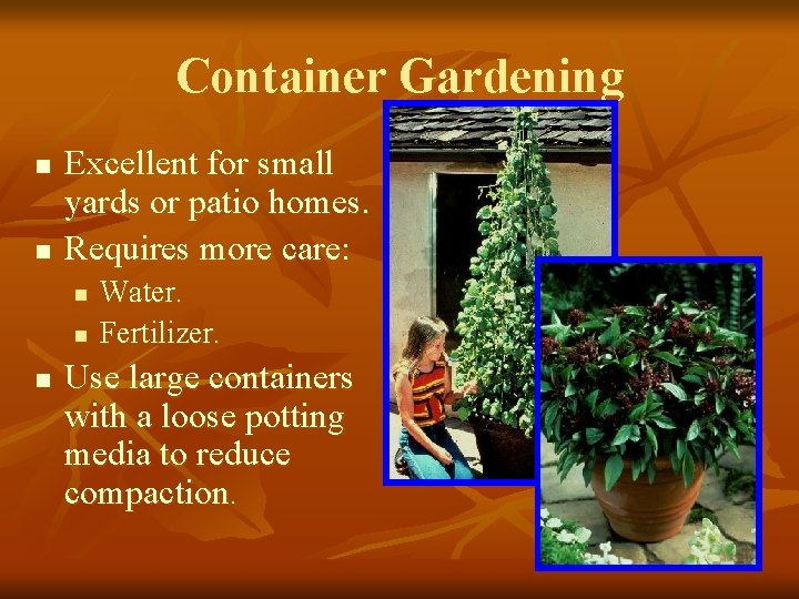 Container Gardening n n Excellent for small yards or patio homes. Requires more care: