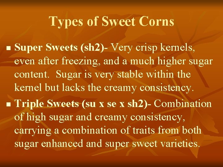 Types of Sweet Corns Super Sweets (sh 2)- Very crisp kernels, even after freezing,