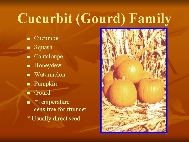 Cucurbit (Gourd) Family Cucumber n Squash n Cantaloupe n Honeydew n Watermelon n Pumpkin