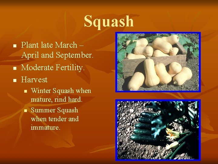 Squash n n n Plant late March – April and September. Moderate Fertility. Harvest