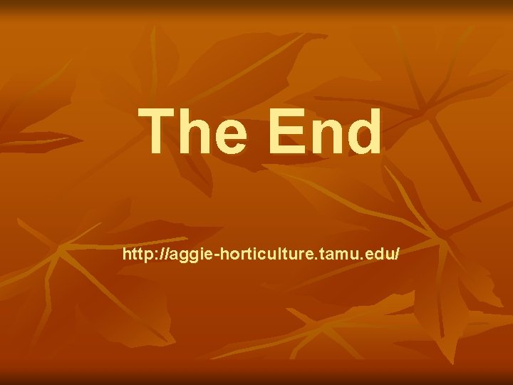 The End http: //aggie-horticulture. tamu. edu/ 