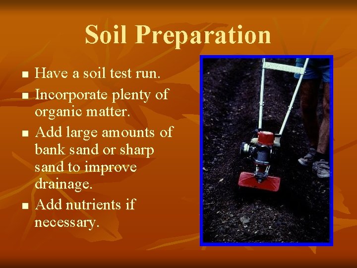 Soil Preparation n n Have a soil test run. Incorporate plenty of organic matter.