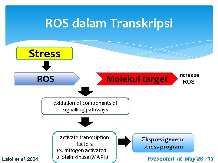 ROS dalam Transkripsi Stress ROS Molekul target Increase ROS oxidation of components of signalling