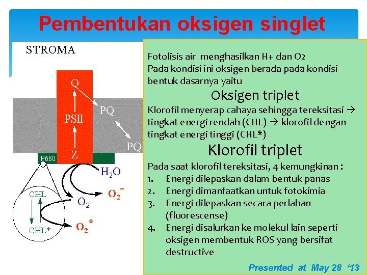 Pembentukan oksigen singlet Fotolisis air menghasilkan H+ dan O 2 Pada kondisi ini oksigen