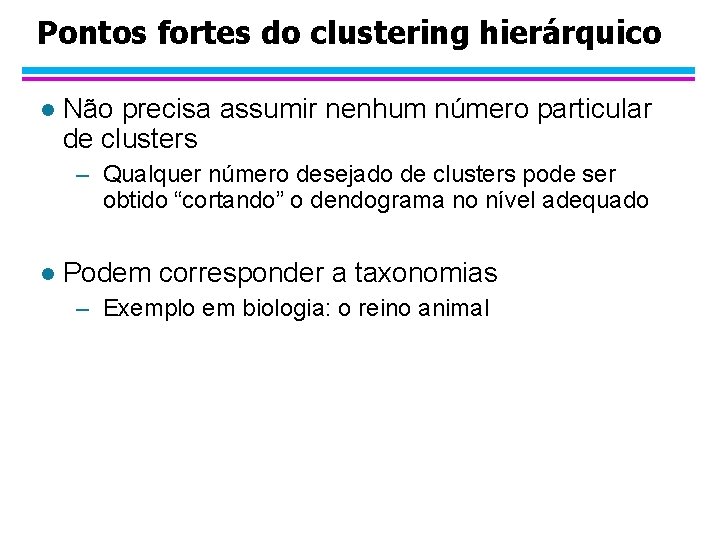 Pontos fortes do clustering hierárquico l Não precisa assumir nenhum número particular de clusters