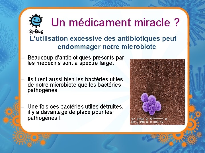 Un médicament miracle ? L’utilisation excessive des antibiotiques peut endommager notre microbiote – Beaucoup