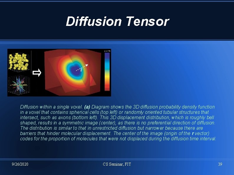 Diffusion Tensor Diffusion within a single voxel. (a) Diagram shows the 3 D diffusion