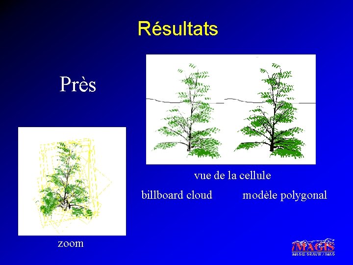 Résultats Près vue de la cellule billboard cloud modèle polygonal zoom i. MAGIS-GRAVIR /