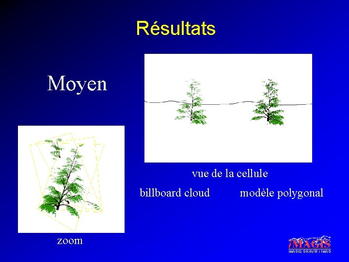 Résultats Moyen vue de la cellule billboard cloud modèle polygonal zoom i. MAGIS-GRAVIR /