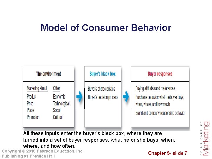 Model of Consumer Behavior All these inputs enter the buyer’s black box, where they