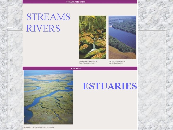 STREAMS RIVERS ESTUARIES 