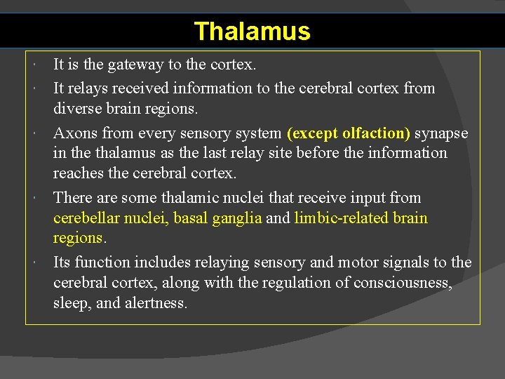 Thalamus It is the gateway to the cortex. It relays received information to the