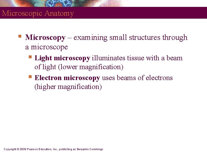 Microscopic Anatomy § Microscopy – examining small structures through a microscope § Light microscopy