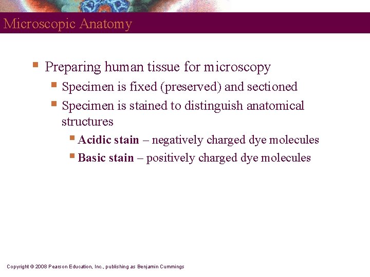 Microscopic Anatomy § Preparing human tissue for microscopy § Specimen is fixed (preserved) and