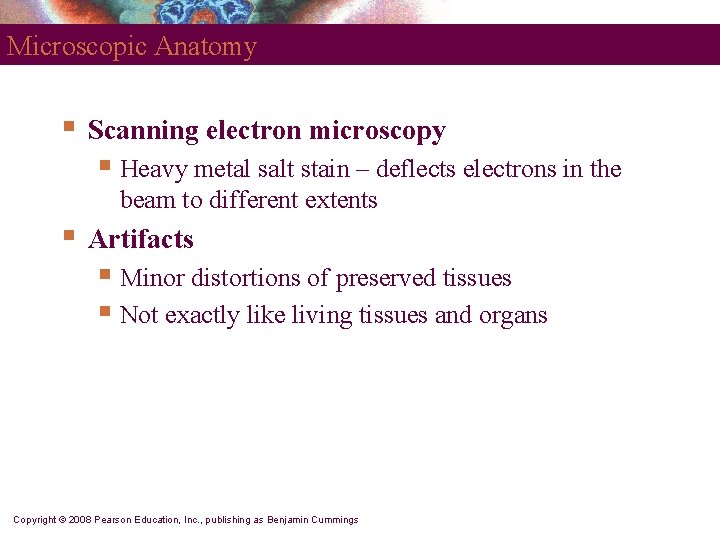 Microscopic Anatomy § Scanning electron microscopy § Heavy metal salt stain – deflects electrons