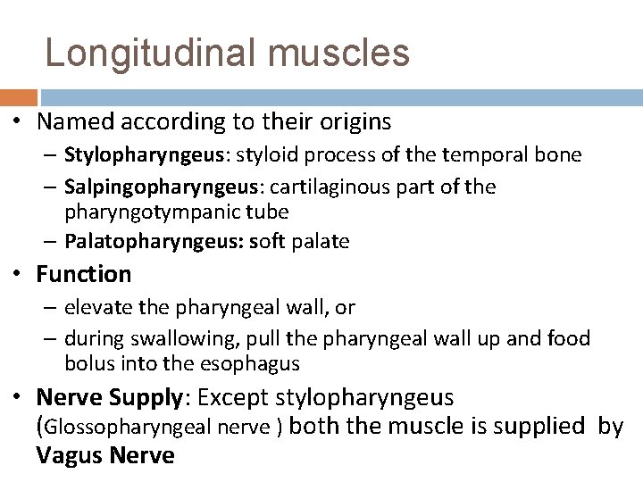 Longitudinal muscles • Named according to their origins – Stylopharyngeus: styloid process of the