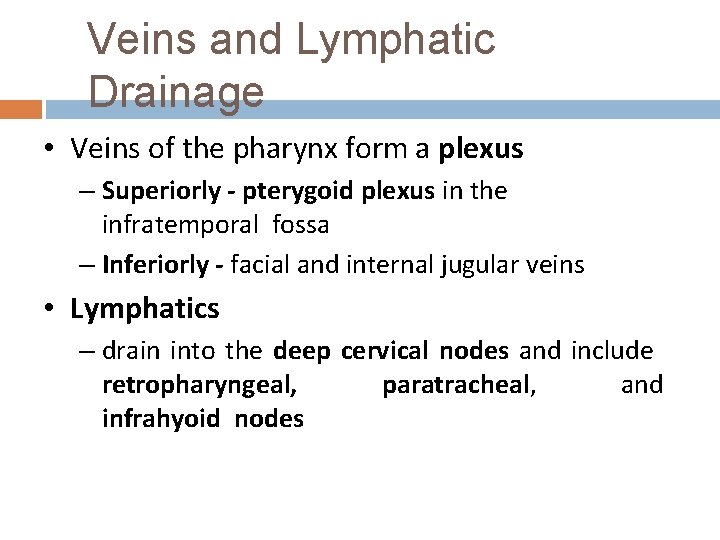 Veins and Lymphatic Drainage • Veins of the pharynx form a plexus – Superiorly