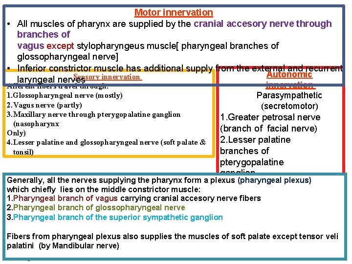 Motor innervation • All muscles of pharynx are supplied by the cranial accesory nerve