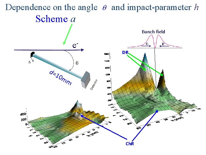 Dependence on the angle and impact-parameter h Scheme a Bunch field e- DR d=