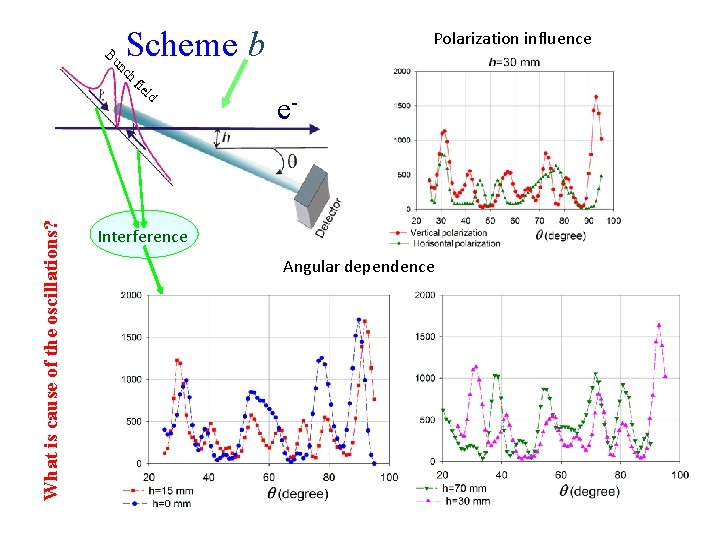 Polarization influence h nc Bu Scheme b What is cause of the oscillations? ld