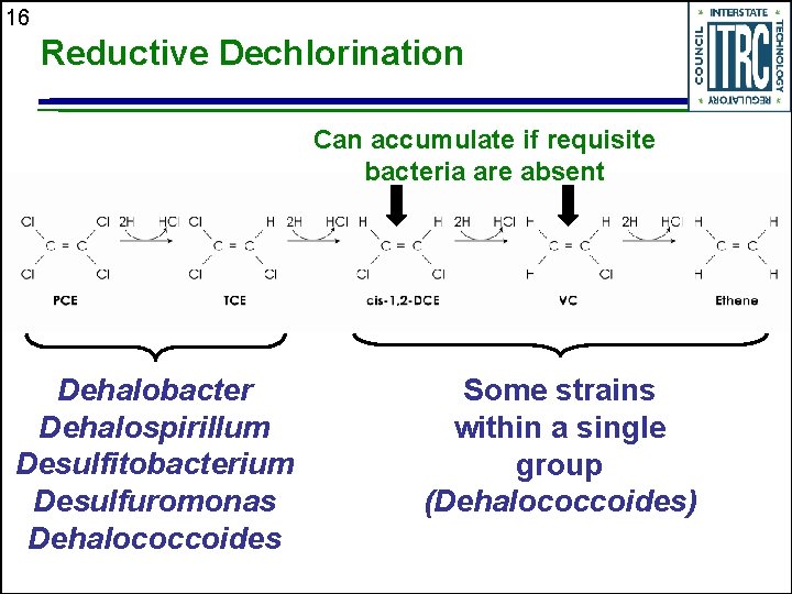 16 Reductive Dechlorination Can accumulate if requisite bacteria are absent Dehalobacter Dehalospirillum Desulfitobacterium Desulfuromonas