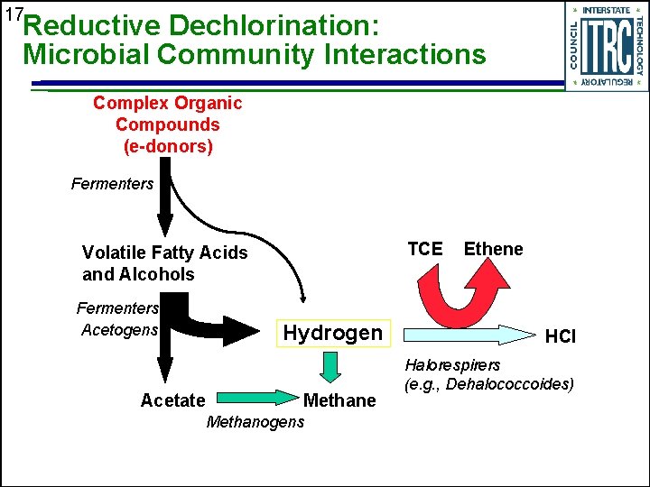 17 Reductive Dechlorination: Microbial Community Interactions Complex Organic Compounds (e-donors) Fermenters TCE Volatile Fatty