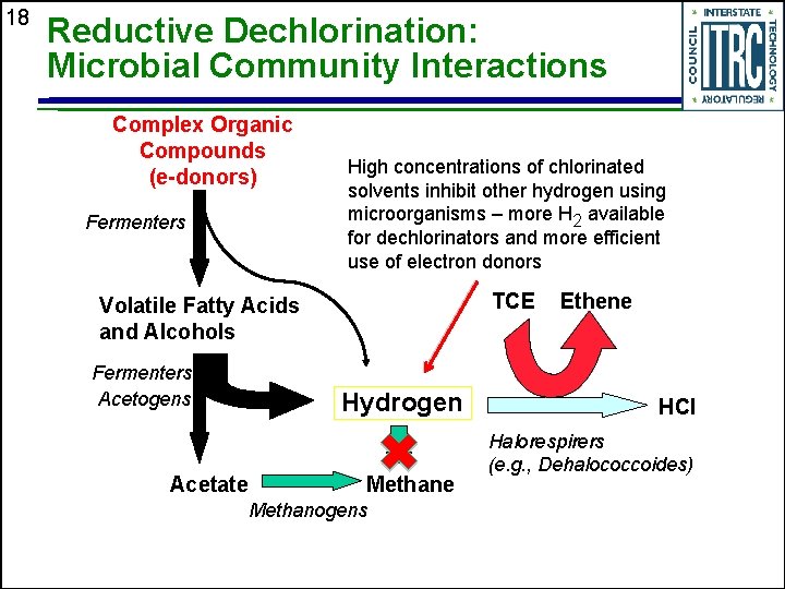 18 Reductive Dechlorination: Microbial Community Interactions Complex Organic Compounds (e-donors) Fermenters High concentrations of