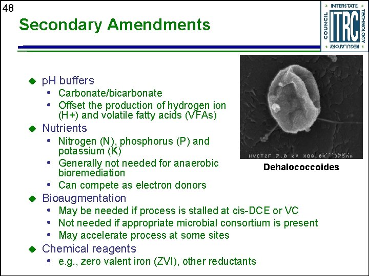 48 Secondary Amendments u p. H buffers • Carbonate/bicarbonate • Offset the production of