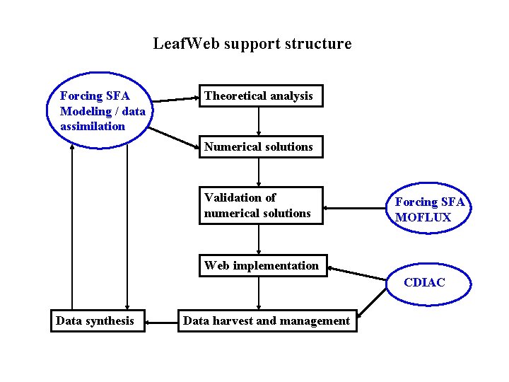 Leaf. Web support structure Forcing SFA Modeling / data assimilation Theoretical analysis Numerical solutions