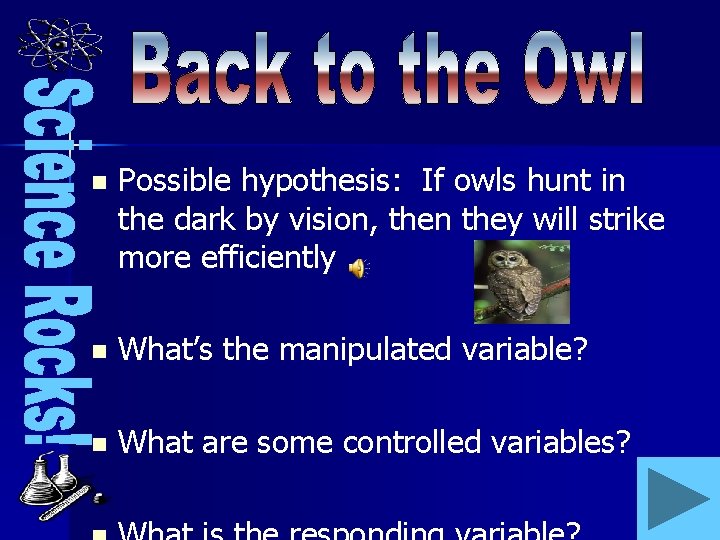 n Possible hypothesis: If owls hunt in the dark by vision, then they will