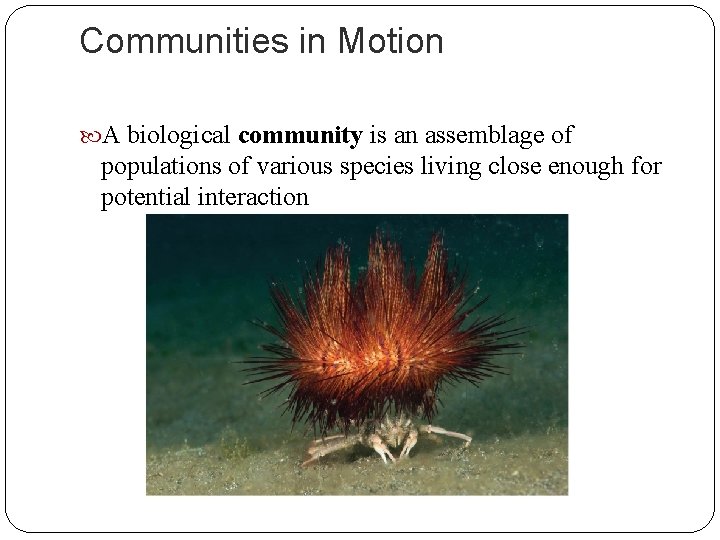 Communities in Motion A biological community is an assemblage of populations of various species
