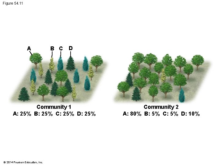 Figure 54. 11 A B C D Community 1 A: 25% B: 25% C: