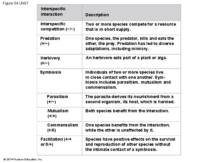 Figure 54. UN 07 Interspecific Interaction Description Interspecific competition (−/−) Two or more species