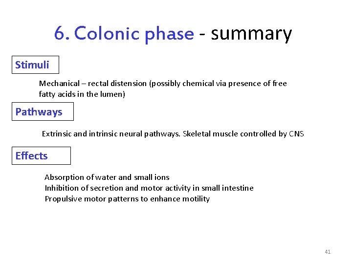 6. Colonic phase - summary Stimuli Mechanical – rectal distension (possibly chemical via presence
