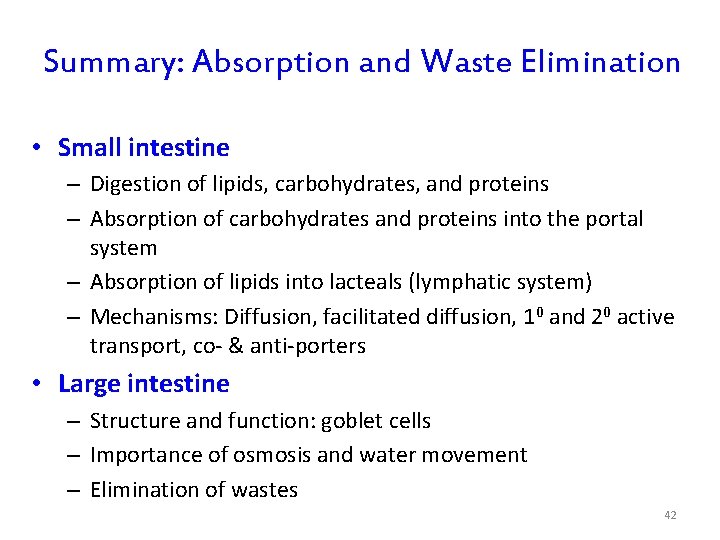 Summary: Absorption and Waste Elimination • Small intestine – Digestion of lipids, carbohydrates, and