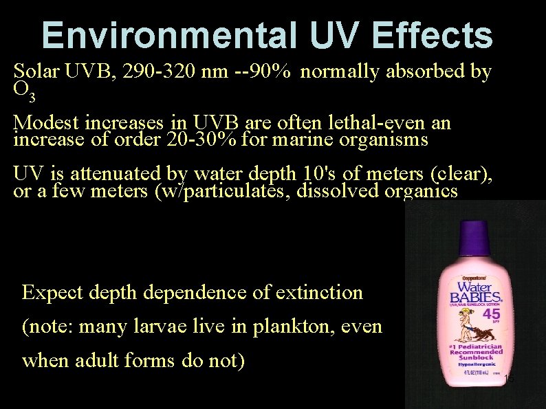 Environmental UV Effects Solar UVB, 290 -320 nm --90% normally absorbed by O 3
