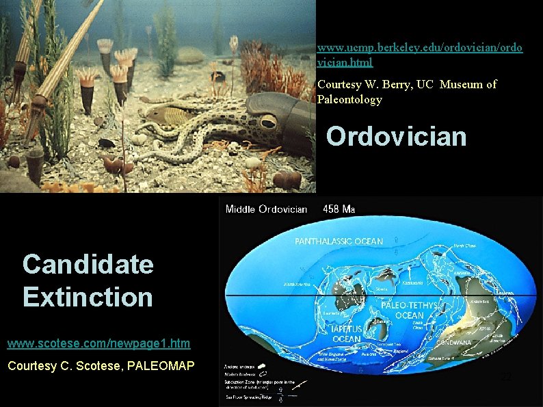 www. ucmp. berkeley. edu/ordovician/ordo vician. html Courtesy W. Berry, UC Museum of Paleontology Ordovician