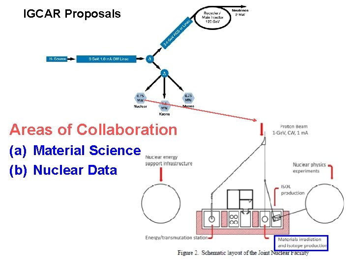 IGCAR Proposals Areas of Collaboration (a) Material Science (b) Nuclear Data 