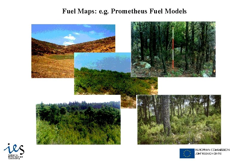 Fuel Maps: e. g. Prometheus Fuel Models 