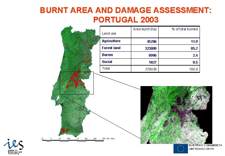 BURNT AREA AND DAMAGE ASSESSMENT: PORTUGAL 2003 Area burnt (ha) % of total burned