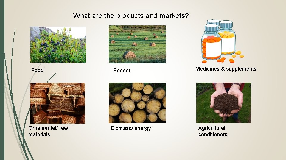 What are the products and markets? Food Ornamental/ raw materials Fodder Biomass/ energy Medicines